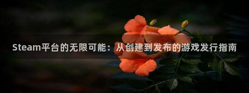 新宝GG防水的质量怎么样：Steam平台的无限可能：从创建到发布的游戏发行指南