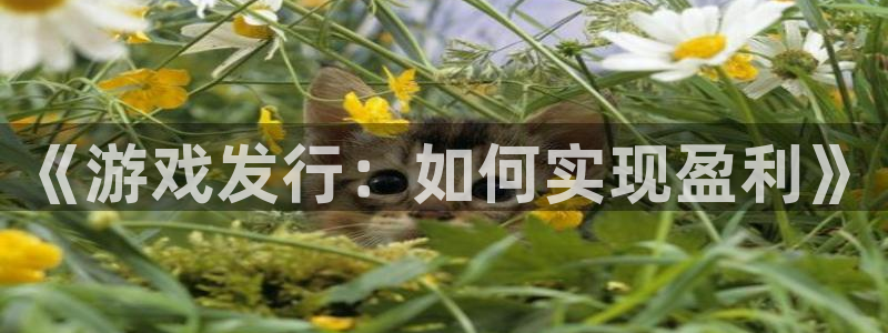 新宝GG官网游戏怎么注册：《游戏发行：如何实现盈利》