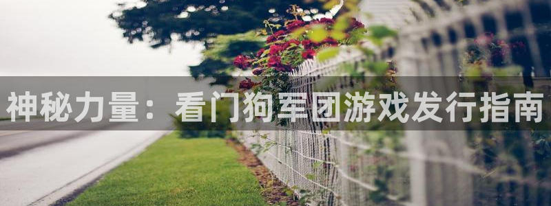 新宝GG香烟图片：神秘力量：看门狗军团游戏发行指南