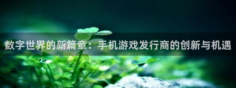 新宝GG官网客服：数字世界的新篇章：手机游戏发行商的创新与机遇