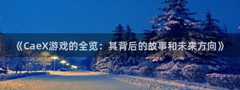 四川新宝GG科技有限公司怎么样