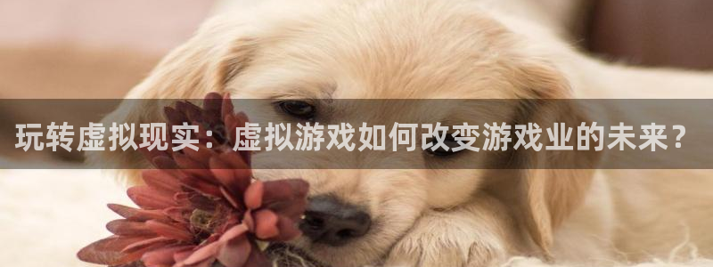 新宝GG子图片高清图片：玩转虚拟现实：虚拟游戏如何改变游戏业的未来？