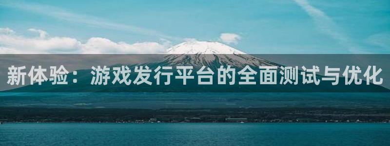 新宝GG是什么品牌：新体验：游戏发行平台的全面测试与优化