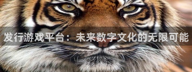 新宝GG官网注册平台官网登录：发行游戏平台：未来数字文化的无限可能