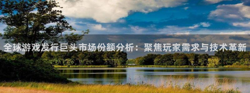 新宝GG子图片高清图片：全球游戏发行巨头市场份额分析：聚焦玩家需求与技术革新