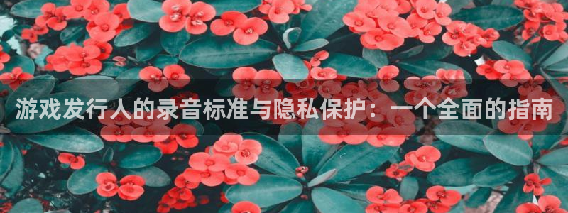 新宝GG官网客服怎么样