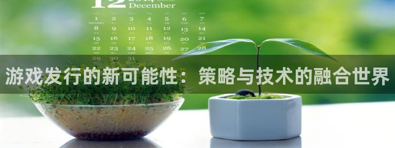 江苏新宝GG智得：游戏发行的新可能性：策略与技术的融合世界