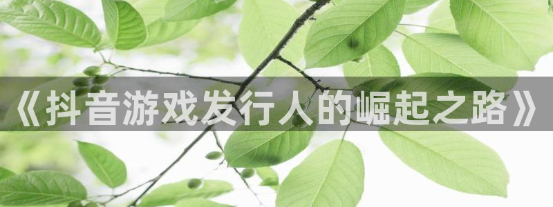 新宝GG官网登录注册：《抖音游戏发行人的崛起之路》