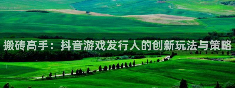 新宝GG电商怎么样可靠吗：搬砖高手：抖音游戏发行人的创新玩法与策略