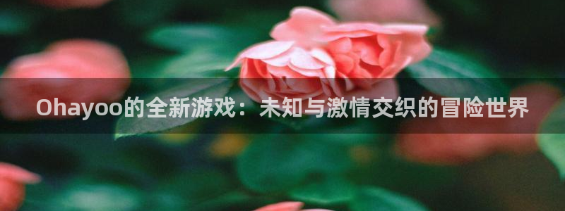 新宝GG子教育科技(江门)有限公司：Ohayoo的全新游戏：未知与激情交织的冒险世界