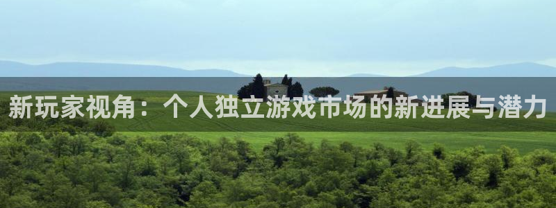 新宝GG官网平台招商qq：新玩家视角：个人独立游戏市场的新进展与潜力