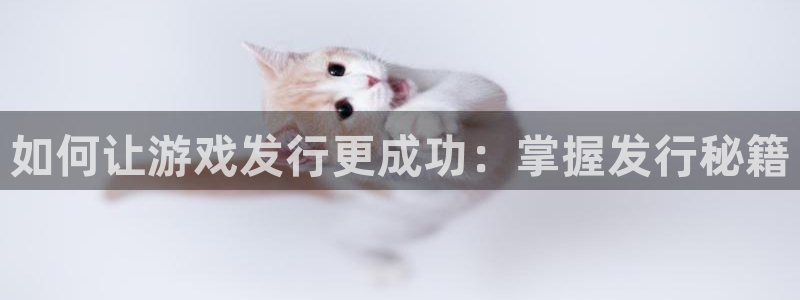 新宝GG官网登录注册账号是什么样的：如何让游戏发行更成功：掌握发行秘籍