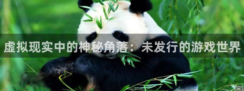 新宝GG官网平台怎么样啊