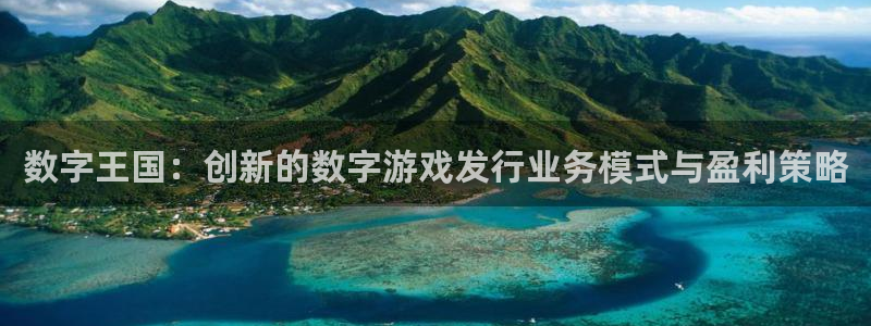 新宝GG男装品牌：数字王国：创新的数字游戏发行业务模式与盈利策略