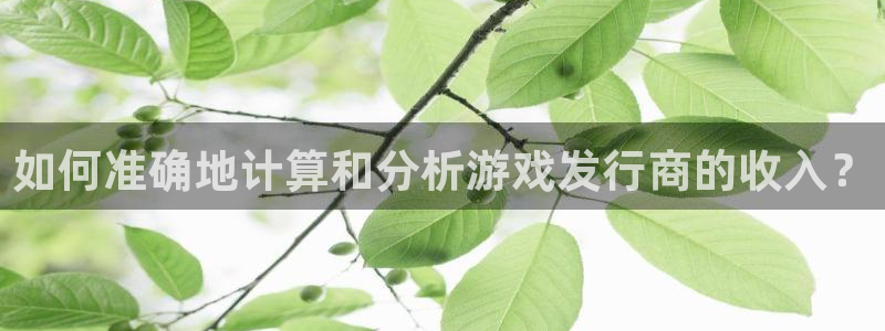 新宝GG子经理人杂志：如何准确地计算和分析游戏发行商的收入？