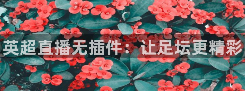 黑白直播足球比赛