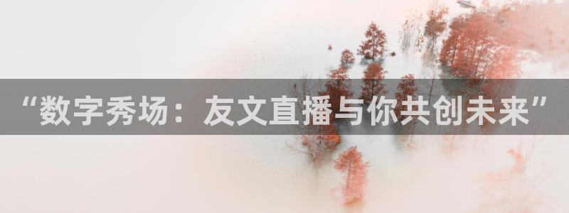 jrs黑白直播体育下载：“数字秀场：友文直播与你共创未来”