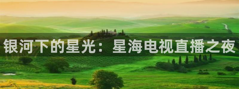 黑白体育在线观看：银河下的星光：星海电视直播之夜