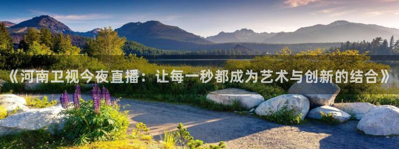 nba赛程黑白直播nba：《河南卫视今夜直播：让每一秒都成为艺术与创新的结合》