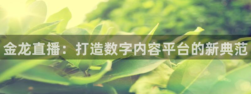 黑白直播免费体育直播：金龙直播：打造数字内容平台的新典范