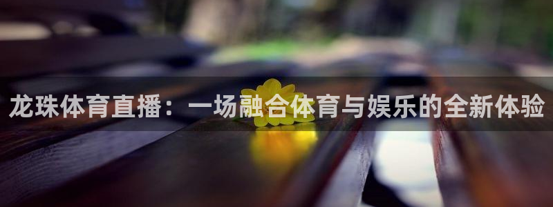 黑白体育视频直播：龙珠体育直播：一场融合体育与娱乐的全新体验